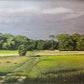 SUMMER FIELDS by Heather Wood