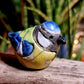 BLUE TIT - WEE BIRDIES - Lesley D McKenzie