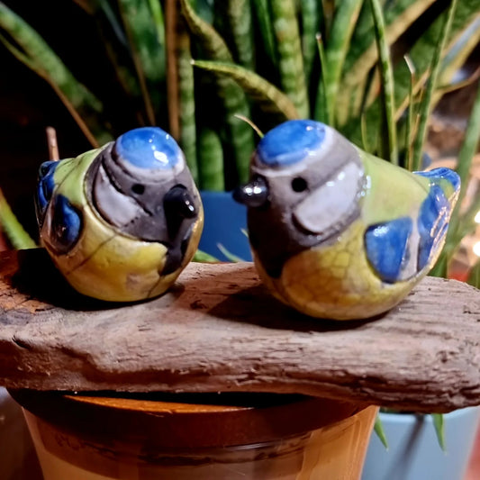 BLUE TIT - WEE BIRDIES - Lesley D McKenzie