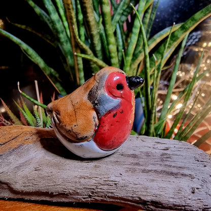 ROBIN - WEE BIRDIES - Lesley D McKenzie